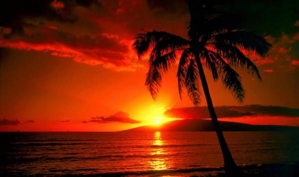 分享圖片：落日美景，令人震撼