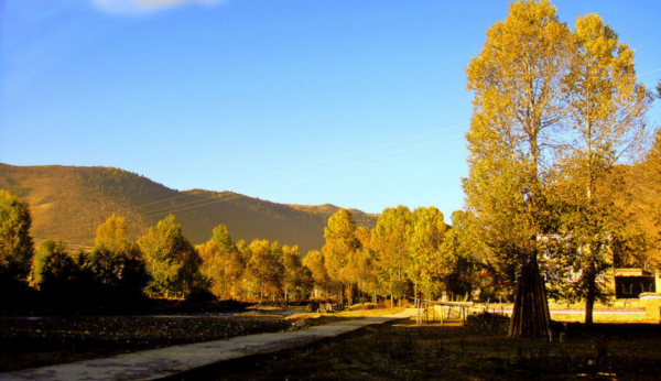 川西的秋色什麼時候最美？如何走最輕鬆？