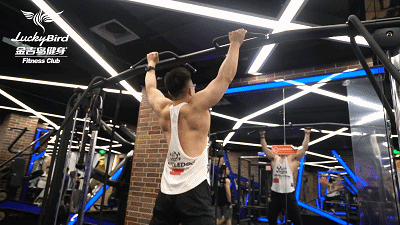 張若昀兩千字告別徐鳳年，不被看好《雪中悍刀行》為何播放52億？