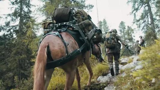 “悍馬”和騾馬並存，畜力不代表落後，軍隊運輸多樣化因地制宜