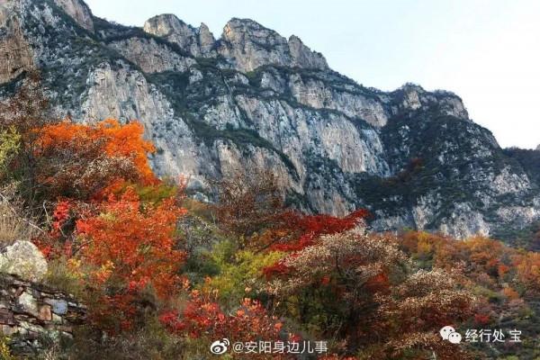 每一步都是風景！看過來