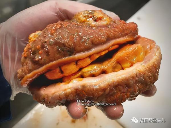 俄羅斯漁夫的深海怪魚又來了...這波依然是高能獵奇！突破天際