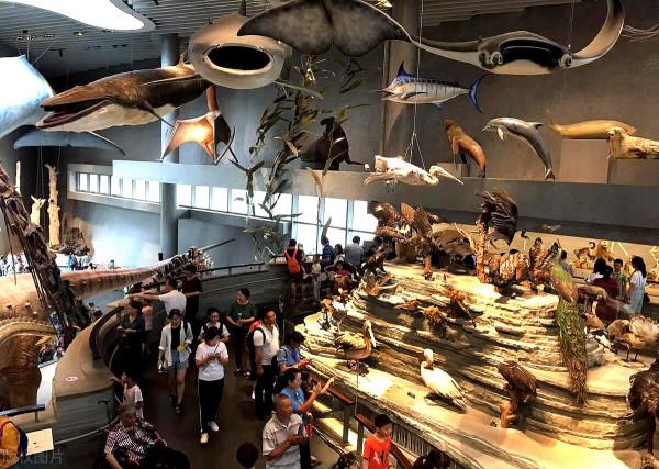 來上海玩除了迪士尼,這些能漲知識的溜娃聖地,每個家長都應收藏 來上海玩除了迪士尼,這些能漲知識的溜娃聖地,每個家長都應收藏