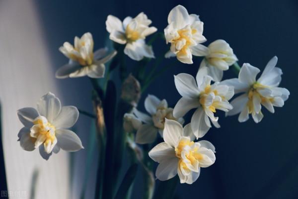 福建冷知識:關於福建的25個世界之最和中國之最,你知道幾個? 福建冷知識:關於福建的25個世界之最和中國之最,你知道幾個?