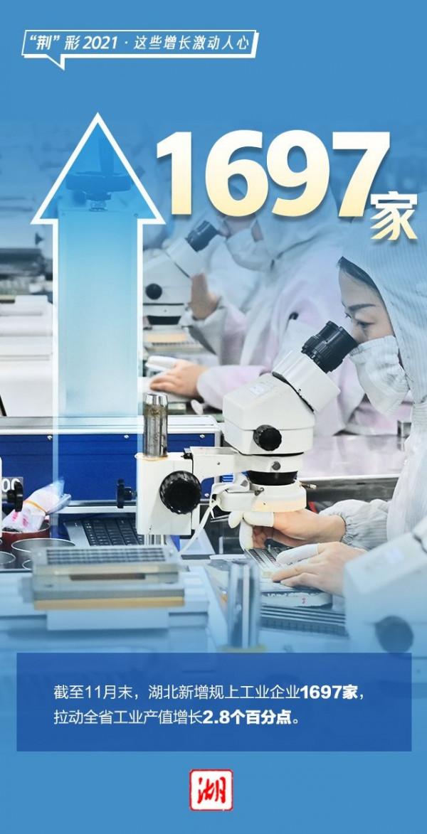 2021，湖北這些增長激動人心