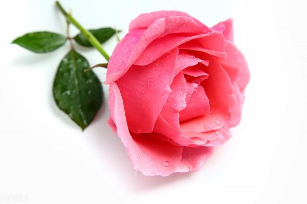 如何擁有改變的勇氣，扔掉自卑