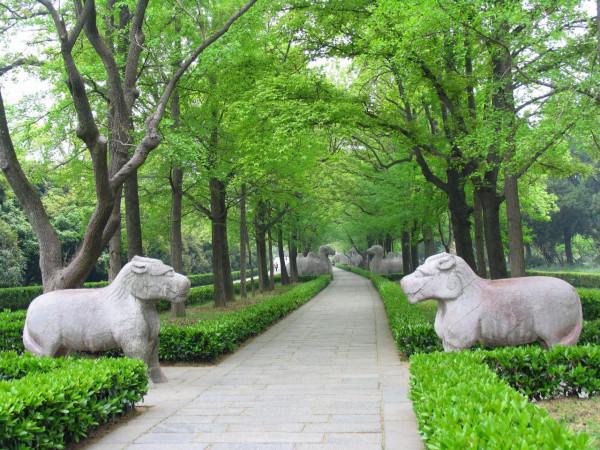 探訪朱元璋皇帝陵——明孝陵