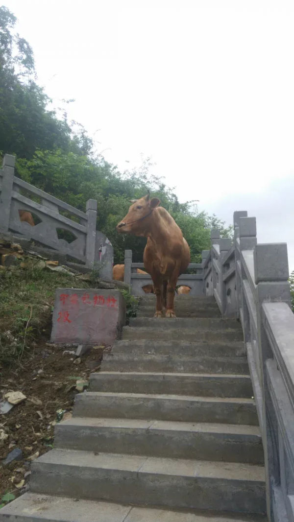 一日跨三省,步行在春天 一日跨三省,步行在春天