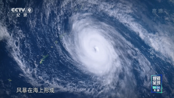 16部超讚自然紀錄片，讓孩子足不出戶看到地球的“真實面目”！