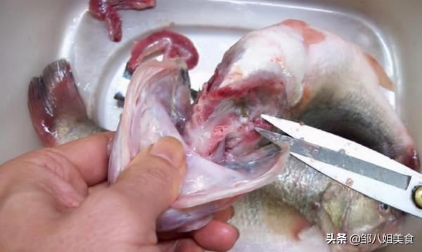 給魚去腥，別隻會用料酒！去除魚身上4個地方，咋做魚都香噴噴​