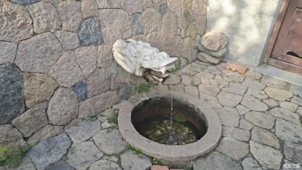 五百年盤龍古松.與秦Plus Dmi探訪千年幽幽古剎！