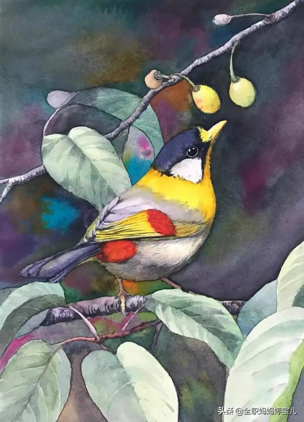 分享——栩栩如生的水彩鳥兒圖