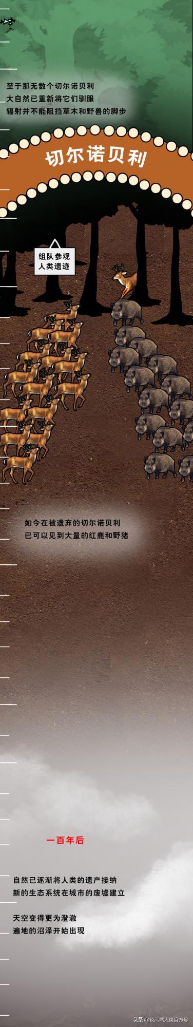 人類突然消失之後,世界會變成什麼樣子? 人類突然消失之後,世界會變成什麼樣子?