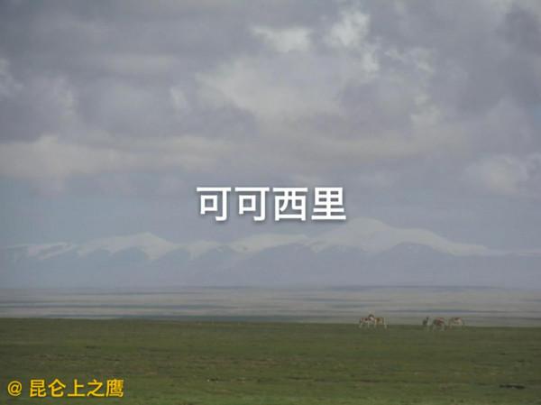 可可西里&mdash;&mdash;&OpenCurlyDoubleQuote;美麗的少女&rdquo;