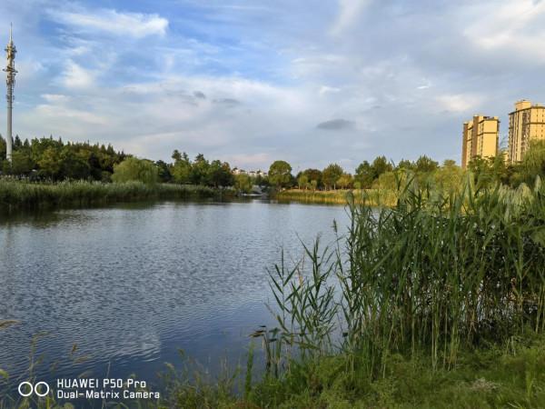 華為P50拍風景 華為P50拍風景