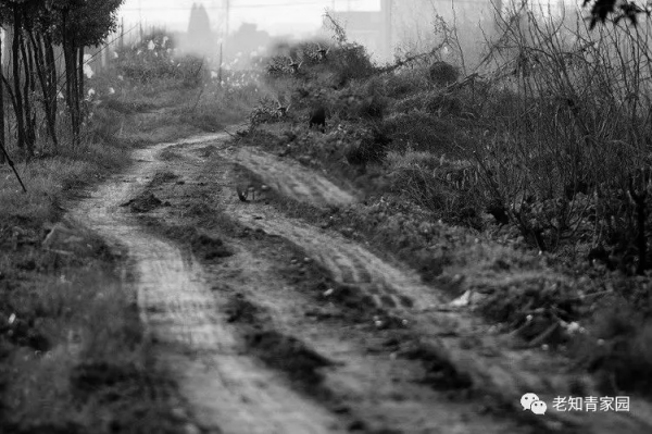 錯錯錯——嫁給農民的女知青