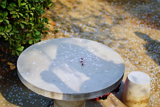 優秀!北京這所高校:走出外交部發言人、聯合國發言人,直屬教育部! 優秀!北京這所高校:走出外交部發言人、聯合國發言人,直屬教育部!