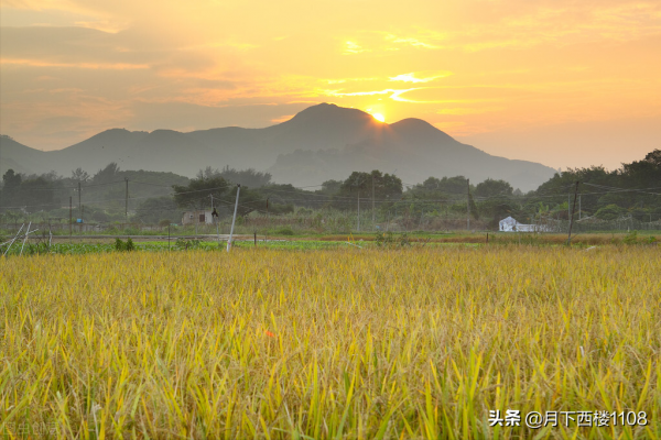 清朝時他任湖南常寧知縣，離任七年後路過常寧數萬百姓夾道歡迎