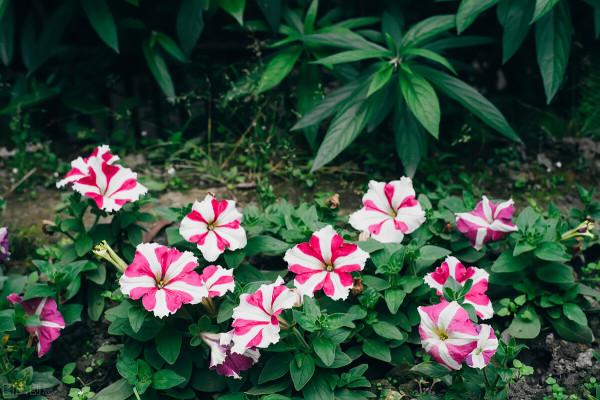 退休後，要保持活到老學到老的心態，不要太依賴別人