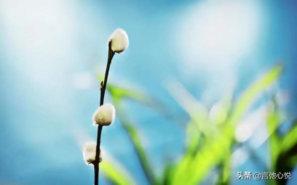 女人怎樣的人生才算有價值?請不要再過度宣揚精彩的勵志女人 女人怎樣的人生才算有價值?請不要再過度宣揚精彩的勵志女人