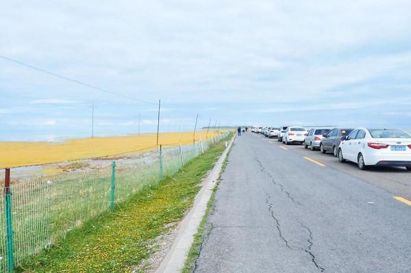 標緻4008環青海長測Day9：鳥島叫“蚊子島”，沿青海沿線達剛察！