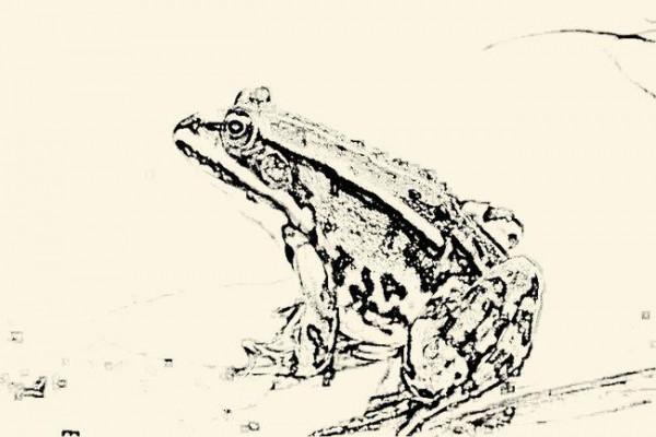 上古傳說故事：善良的回報