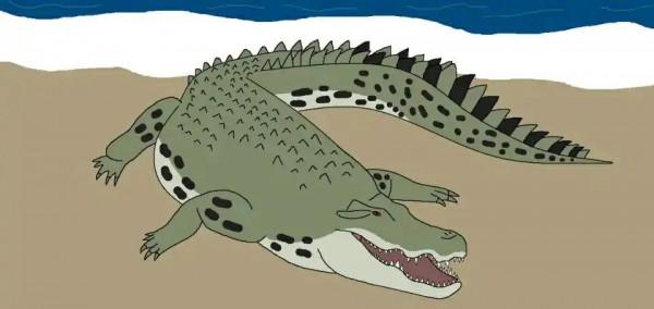 鱷魚好圖大雜燴 鱷魚好圖大雜燴