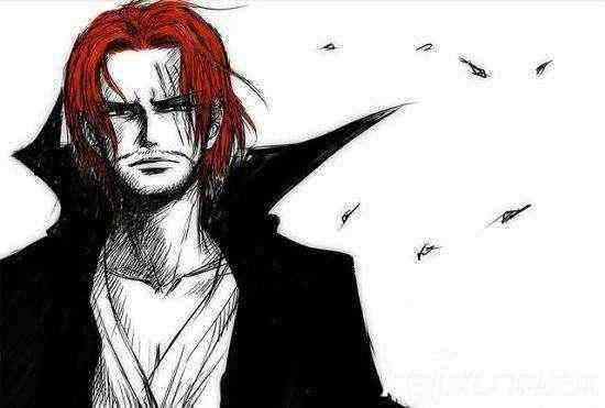 海賊王1037話：象主來的目的是艦隊！是誰下的命令，天王覺醒？