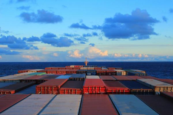 在我當船員的歲月裡,我養大了一隻海豹,儘管不捨也放它迴歸大海 在我當船員的歲月裡,我養大了一隻海豹,儘管不捨也放它迴歸大海