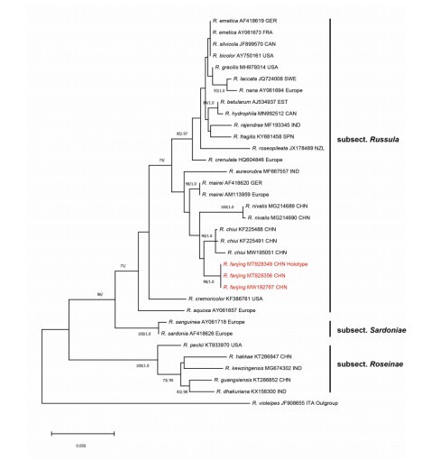 @人類朋友，早已長相廝守，但你瞭解我們嗎？