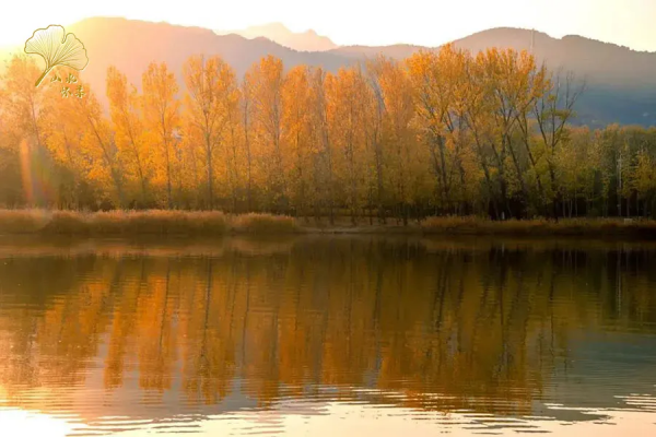 【玩轉懷柔】2021懷柔賞秋攻略出爐！一個字，絕！