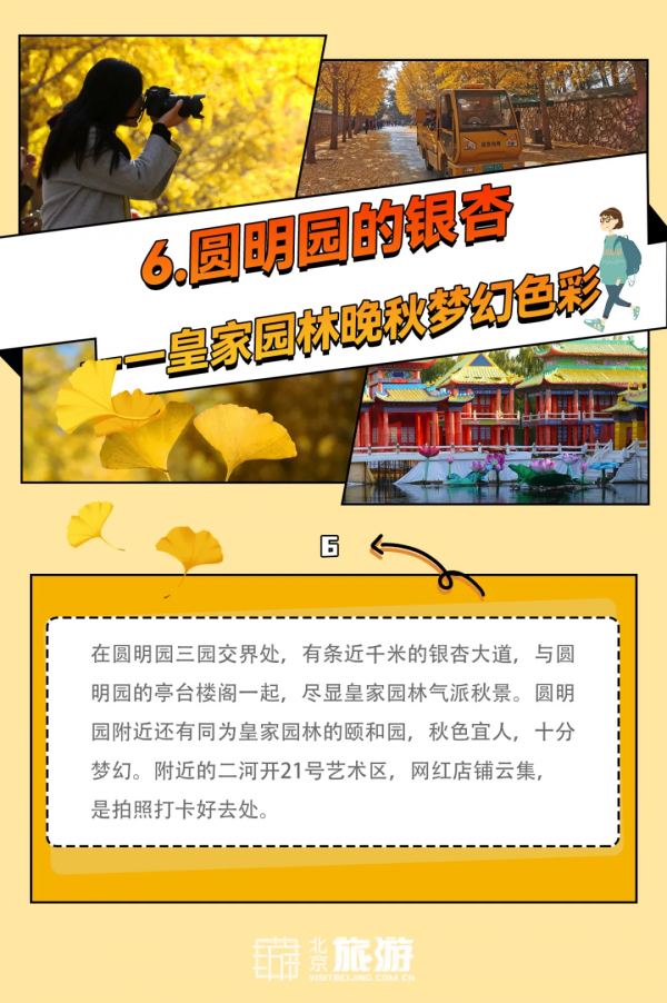 官宣！2021北京賞秋指南！14條路線帶你夢迴北平！