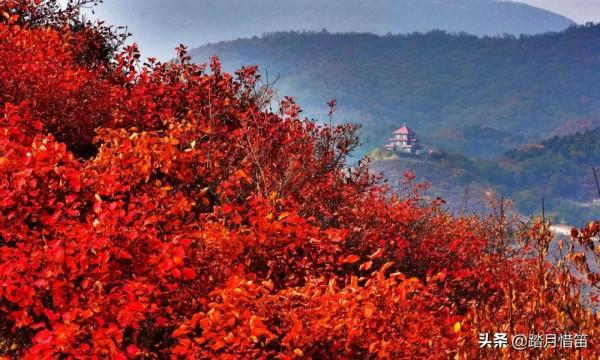 如果沒有疫情，此刻我勸你一定要去一趟北京...