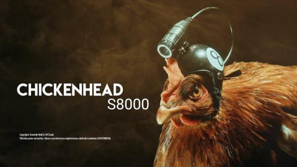 雞頭的超強防抖能力，到底有多逆天？人類科技有它穩嗎？