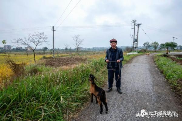 行走的風景——嶽池伏龍之二