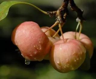 水瓶座2022年3月運勢