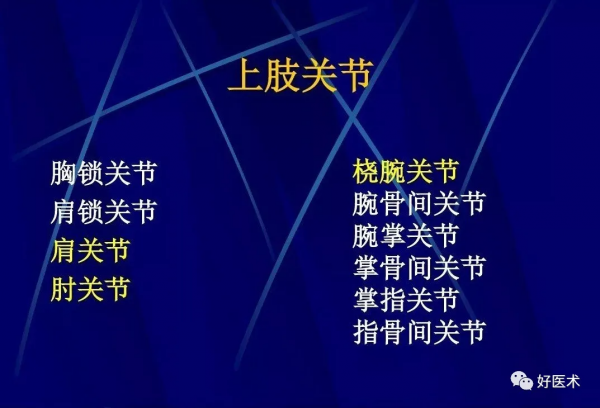86張全身關節應用解剖精講，這篇文章值得收藏