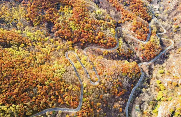 【玩轉懷柔】2021懷柔賞秋攻略出爐！一個字，絕！