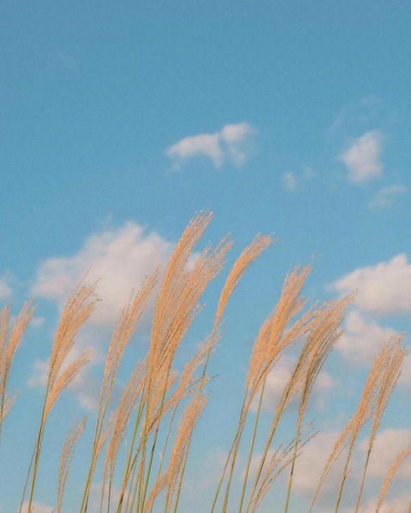 時常淨化自己的心靈