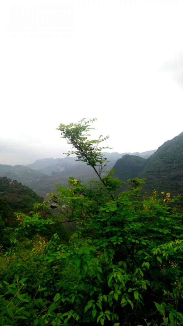 一日跨三省,步行在春天 一日跨三省,步行在春天