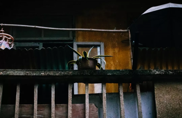 破舊市井裡，卻藏著煙火氣的院子生活