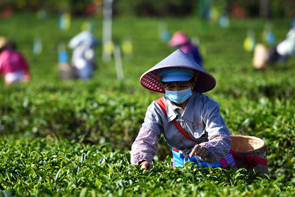 又火了!廣西有個“世外桃源”的景區,景美人少,千萬別錯過 又火了!廣西有個“世外桃源”的景區,景美人少,千萬別錯過