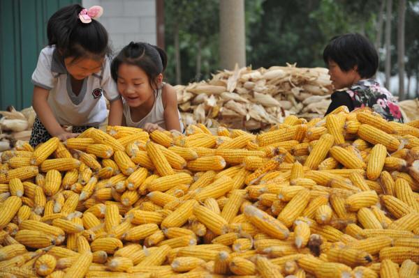天氣預報：今年冬天冷嗎，八月十五看天氣，老祖宗這樣說