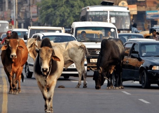 實在是扶不起印度?福特宣佈虧錢退出,4000名員工直接下崗 實在是扶不起印度?福特宣佈虧錢退出,4000名員工直接下崗