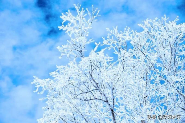 適合冬天出發的12條自駕路線，人少景美，來一場自駕之旅吧