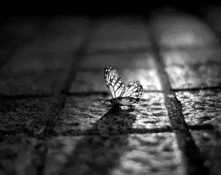 “人學之死”與詩人何為——《死神》想要質疑的，或許是人性本身