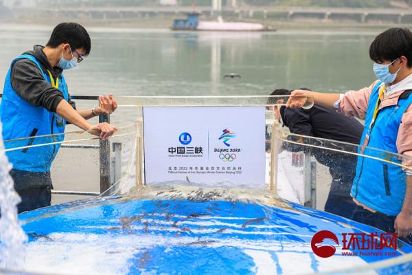 5萬尾長江鱘將放流長江，創歷史新高