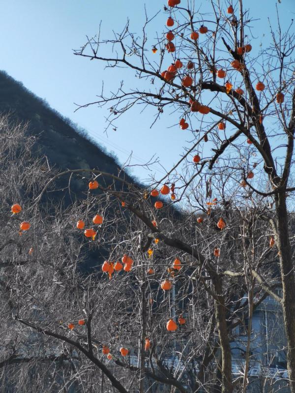 京西小華山—體驗險峻,尋古道,賞馬蹄窩,探溶洞 京西小華山—體驗險峻,尋古道,賞馬蹄窩,探溶洞