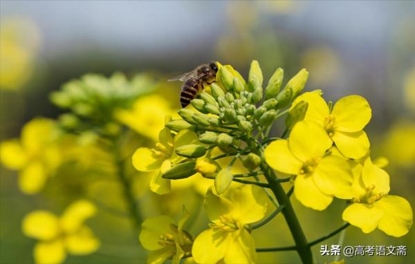 中高考優秀作文:從我做起 中高考優秀作文:從我做起