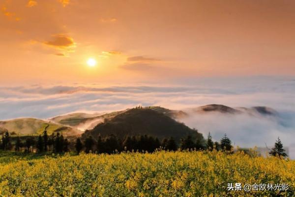 羅平馬街，一個把田地種成了風景畫的地方，山區賞花正當時哦